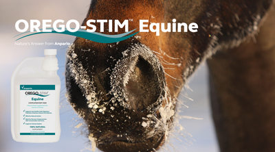 Hot Topic: Help your Horse Through the Colder Months