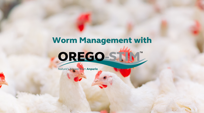 Worm Management with Orego-Stim