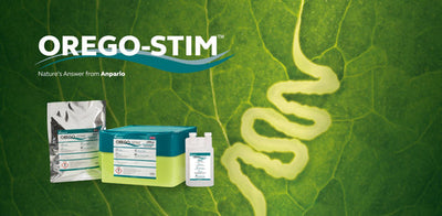 Orego-Stim® as a Natural Alternative to Coccidiostats