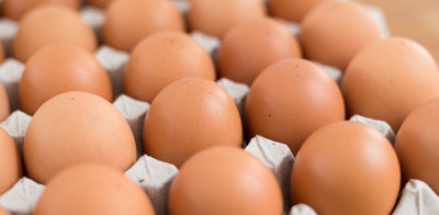 Trial Summary - Orego-Stim® Supports Layer Performance, Providing up to 13 Extra Eggs Per Hen