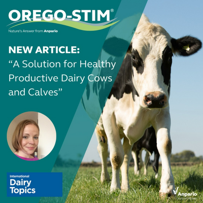 A solution for healthy productive dairy cows and calves